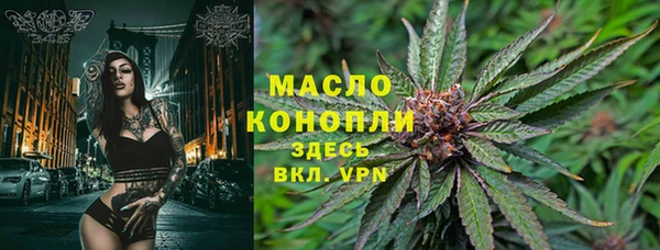 индика Липки