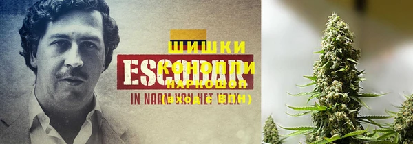 индика Липки